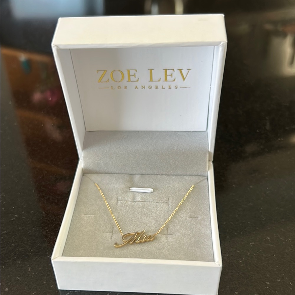 Gold Pendant Necklace with Delicate Chain
